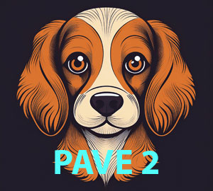 pavé 2